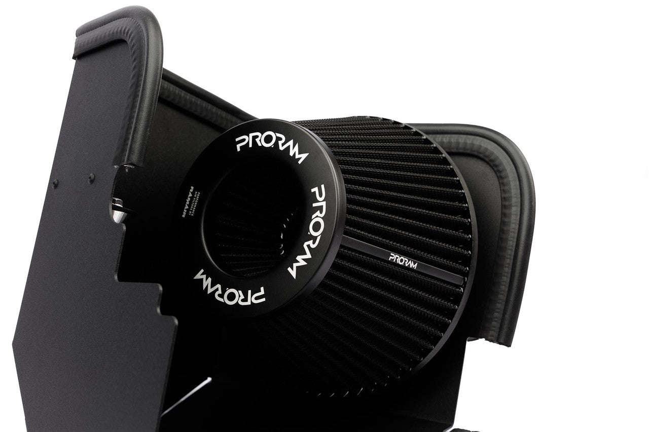 Ramair PRORAM Induction Kit for BMW 316i 320i F30/F31