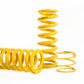 Ohlins Advanced Trackday Coilovers for Audi R8 Gen 1 (42)