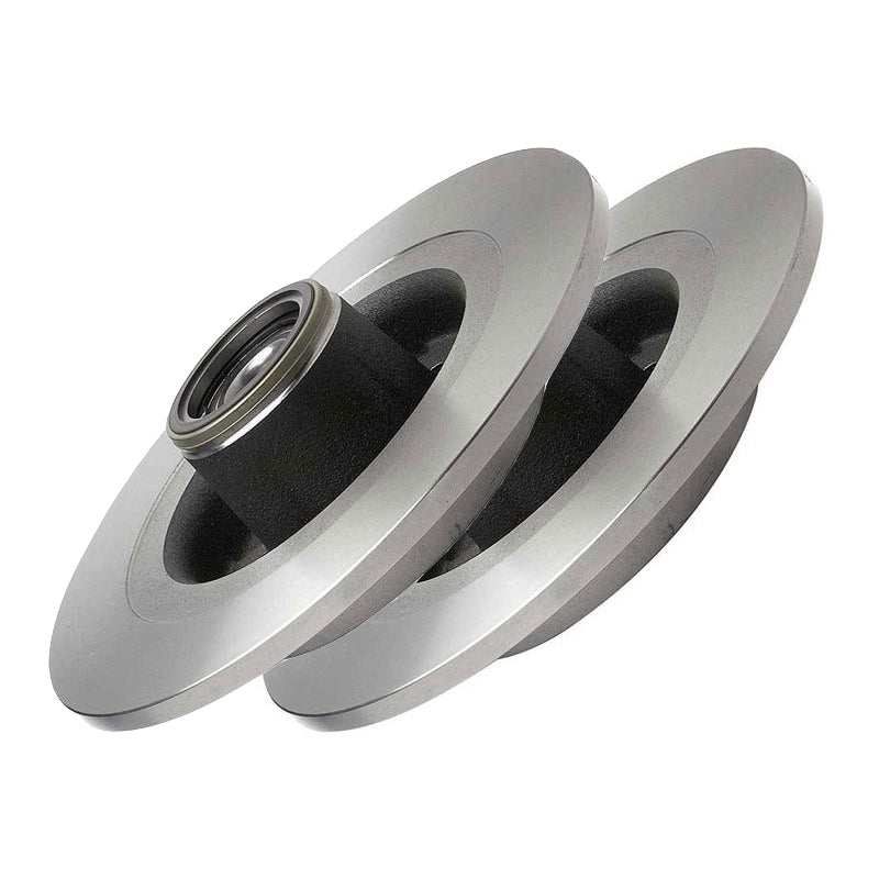 Pagid Rear Brake Discs - Renault Clio Sport 197/200 Mk3