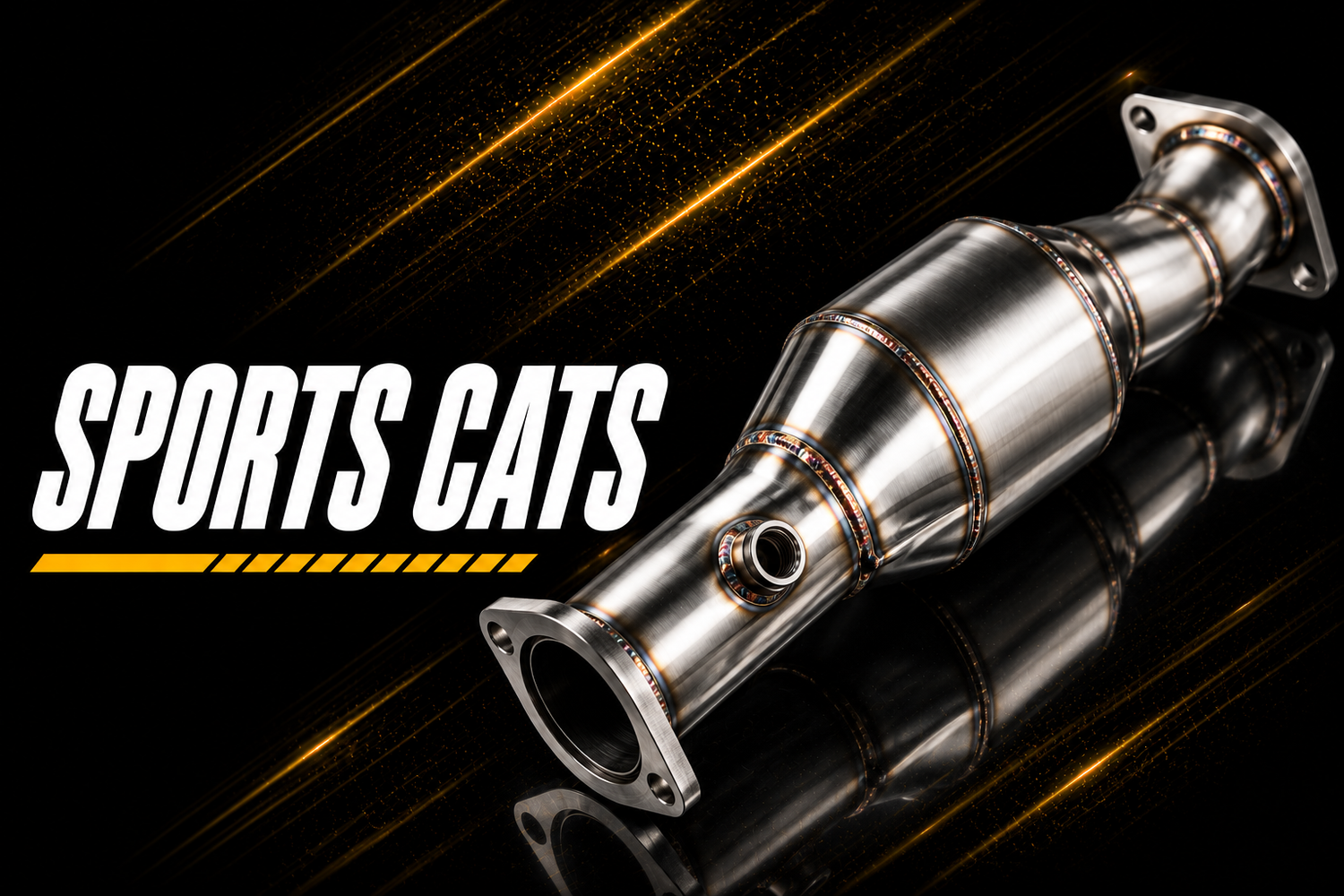 Sports Cats