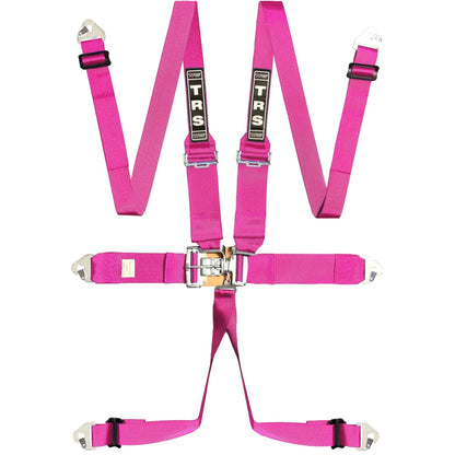 TRS Lever Latch 6 Point 75mm FHR Only Harness