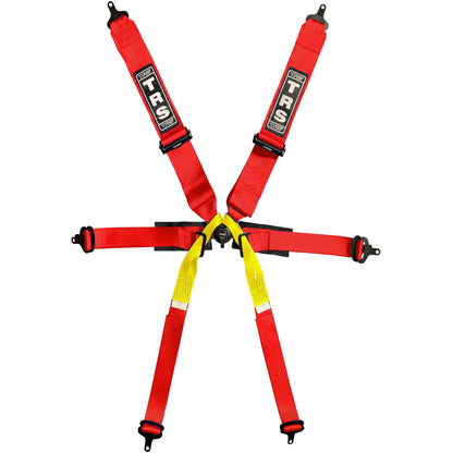 TRS Pro 6 Point Single Seater FIA Harness