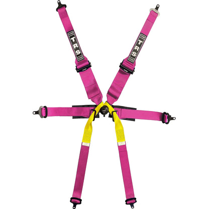 TRS Pro 6 Point Single Seater FHR Only FIA Harness