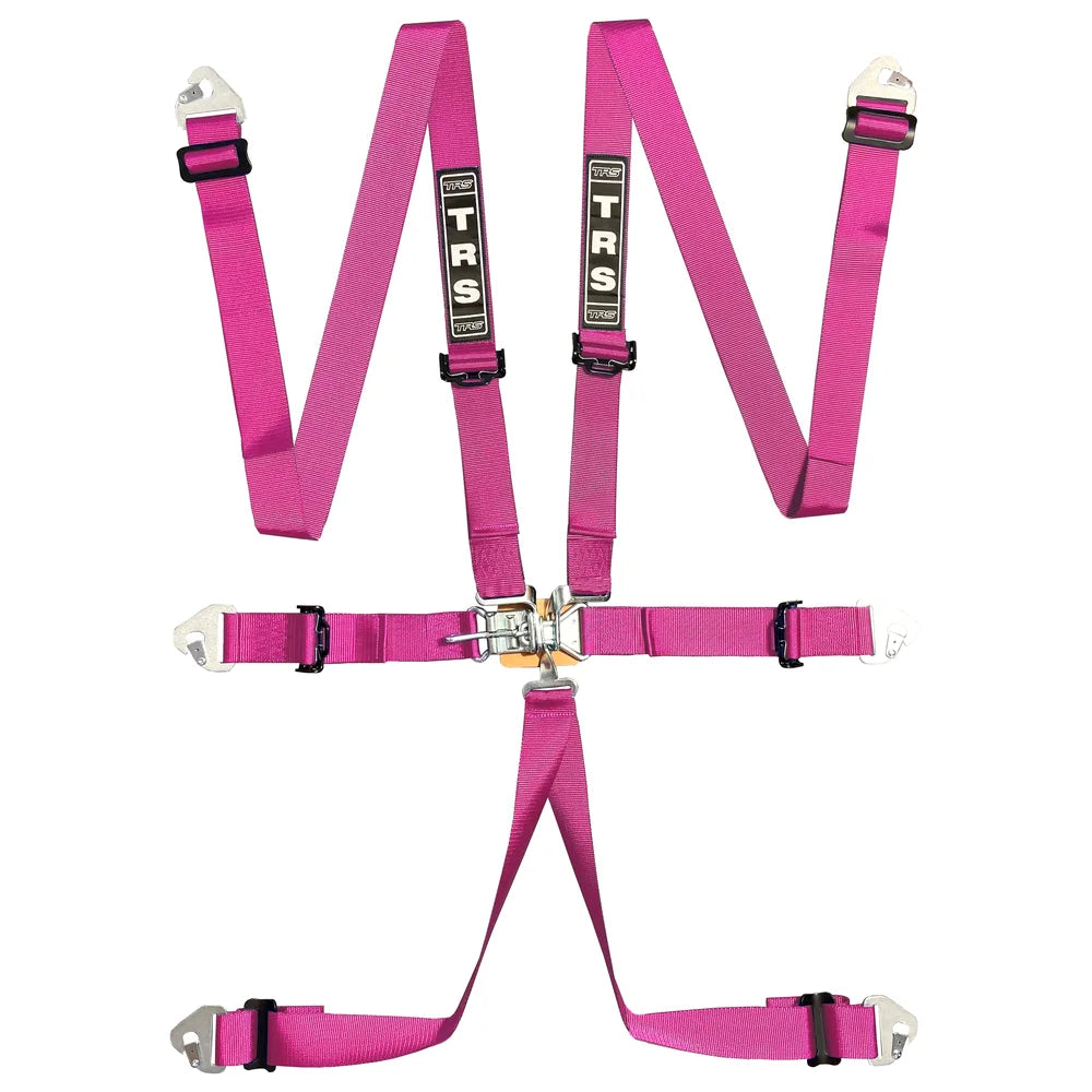 TRS Lever Latch 6 Point 50mm Harness