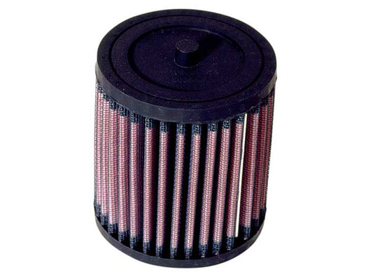 K&N Replacement Air Filter (HA-2501)