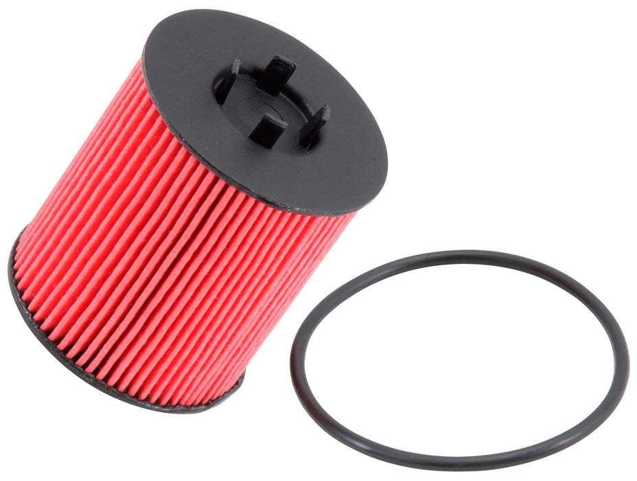 K&N Oil Filter (PS-7001)