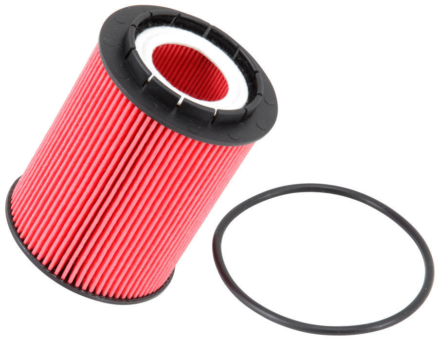 K&N Oil Filter (PS-7005)