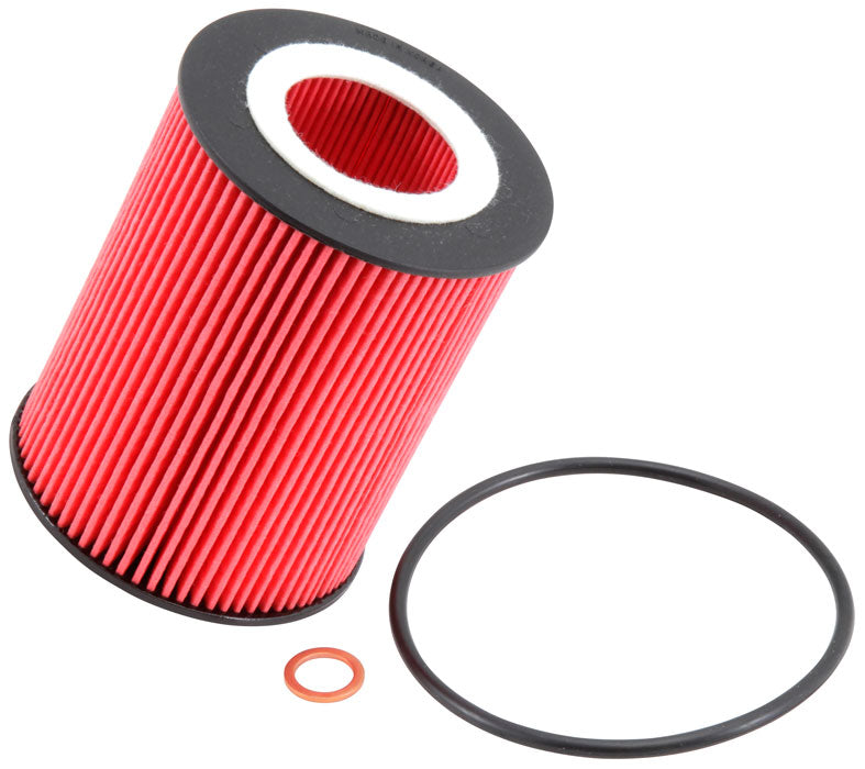 K&N Oil Filter (PS-7007)