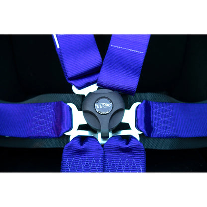 TRS Pro 6 Point FIA Harness