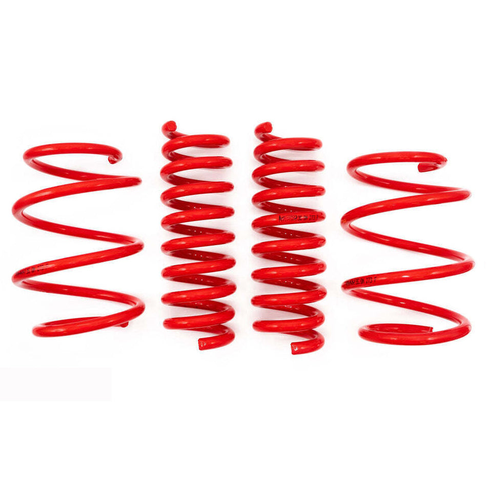 V-maxx Lowering Springs Test