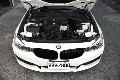 MST Performance Intake System - BMW 420i 428i F32 N20/26